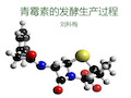 青霉素的发酵生产过程