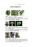 园林常用的50种植物介绍