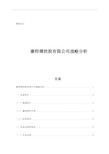 康师傅控股公司战略分析