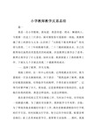 小学教师教学反思总结