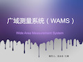 广域测量系统(WAMS)