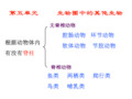 八年级生物上册总复习课件.ppt