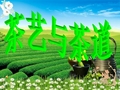 茶艺与茶道.ppt2