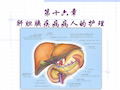 第十六章 第五节-肝脓肿