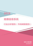 2019年地理信息系统行业分析报告(市场调查报告)