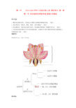 2019-2020学年八年级生物上册 第四单元 第一章 第一节 花的结构和类型学案(新版)济南版