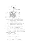 七年级下册生物图