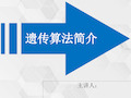 遗传算法.ppt