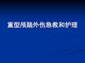 重型颅脑外伤急救和护理