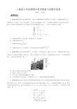 人教版九年级物理中考专题复习试题含答案