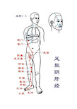 十二经络高清图(包含经络穴位)