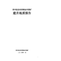 贵州盘县柏果镇金河煤矿建井地质报告