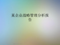 某企业战略管理分析报告