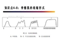 知识点4-8：骨骼肌的收缩形式.