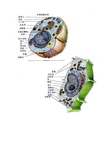 生物细胞结构示意图
