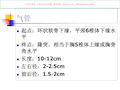 支气管和肺解剖课件