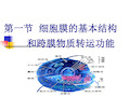 动物生理学 第二章 细胞的基本功能_PPT幻灯片