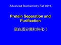 蛋白质的纯化与鉴定