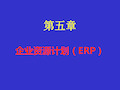 企业资源计划(ERP)PPT