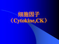 《细胞因子Cytok》PPT课件