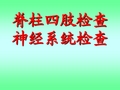 脊柱四肢及神经系统检查