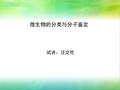 微生物的分类和分子鉴定概要