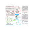 高中各科最全最新思维导图!