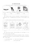 2019高考北京卷化学试题(解析版)