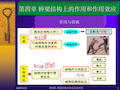 桥梁结构上作用和作用效应