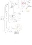 初中政治思维导图——权利与义务