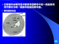 巴斯德毕赤酵母(Pichia pastoris)表达系统综述27页PPT