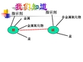 初中化学酸和碱的反应