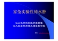 家兔急性肺水肿--2010年本科_076级7年_078级5年_实验2010-09-05