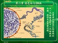 朱玉贤现代分子生物学第四版 第2章 染色体与DNA