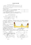 专题：岩层新老关系的判断