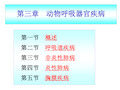 兽医内科学第三章呼吸系统疾病