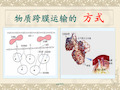 物质跨膜运输的方式讲  ppt课件