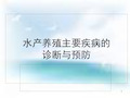 水产养殖主要疾病的诊断与预防.ppt