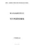 锂电池涂碳铝箔项目可行性研究报告立项申请报告模板