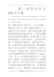 那一抹阳光作文600字5篇