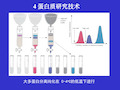 4蛋白质研究技术