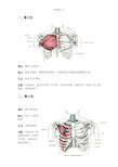 肌肉起止点