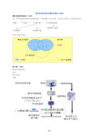 慢性阻塞性肺病和慢性肺源性心脏病