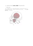 清晰大图图解常见软组织损伤四十六个压痛点