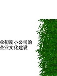 6创业初期小公司的企业文化建设