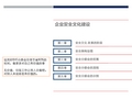 企业安全文化建设(分委会)