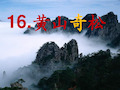 16.正式——黄山奇松课件(苏教版)