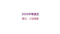 2020中考语文散文、小说阅读(有答案)  