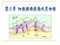 第三章 细胞膜的结构与功能