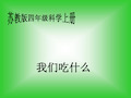 小学四年级上册科学我们吃什么PPT课件